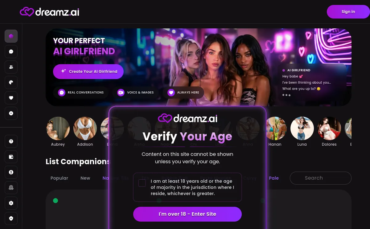 Dreamz AI companion interface