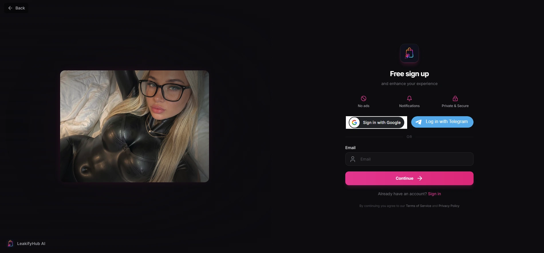 LeakifyHub login and account experience